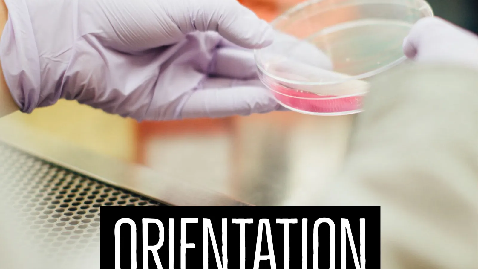 Picture of work being done in a lab with the word "orientation" as the accompanying text